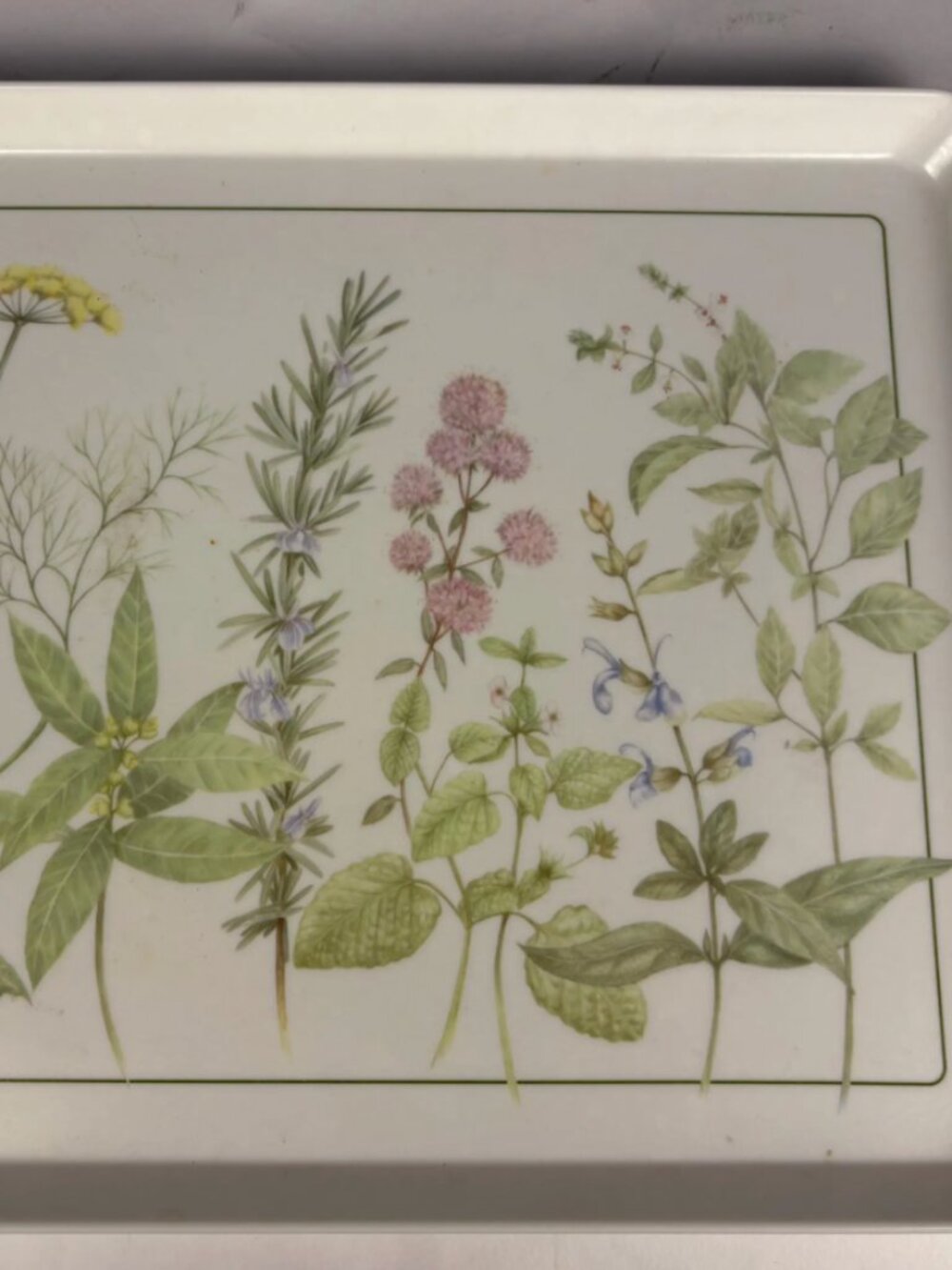 Vintage Italian Botanical Melamine Serving Tray | Design Imports LTD Herb Illust